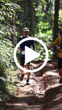 BIB:  <button type="button" onclick="openModal(26569426)" class="btn btn-primary btn-sm float-right" data-toggle="modal" data-target=".modal-high-quality">
                <i class="fa fa-download"></i> Download
                </button>